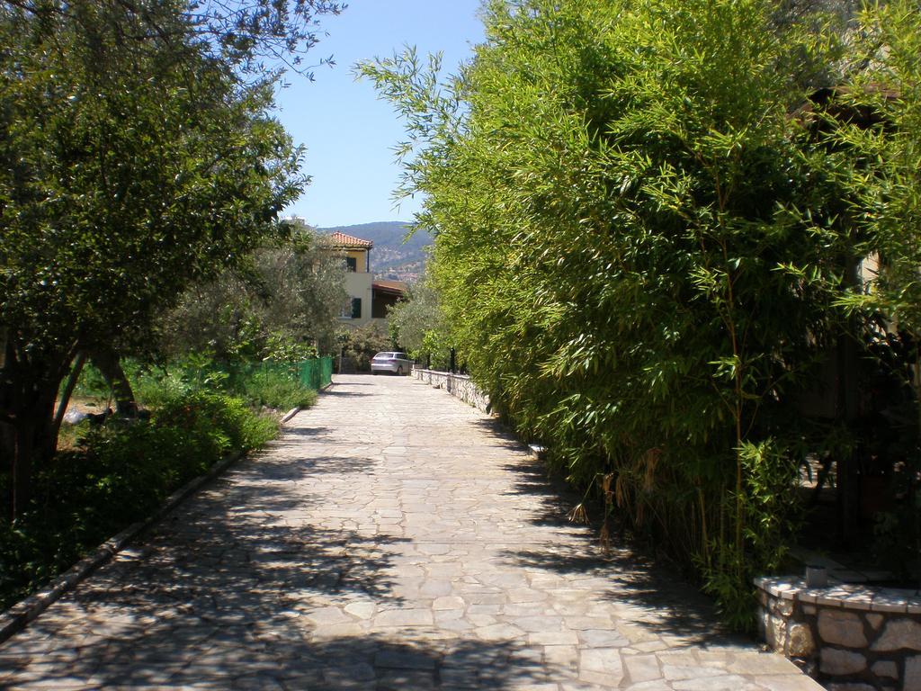 פטרה Vasiliki Studios מראה חיצוני תמונה