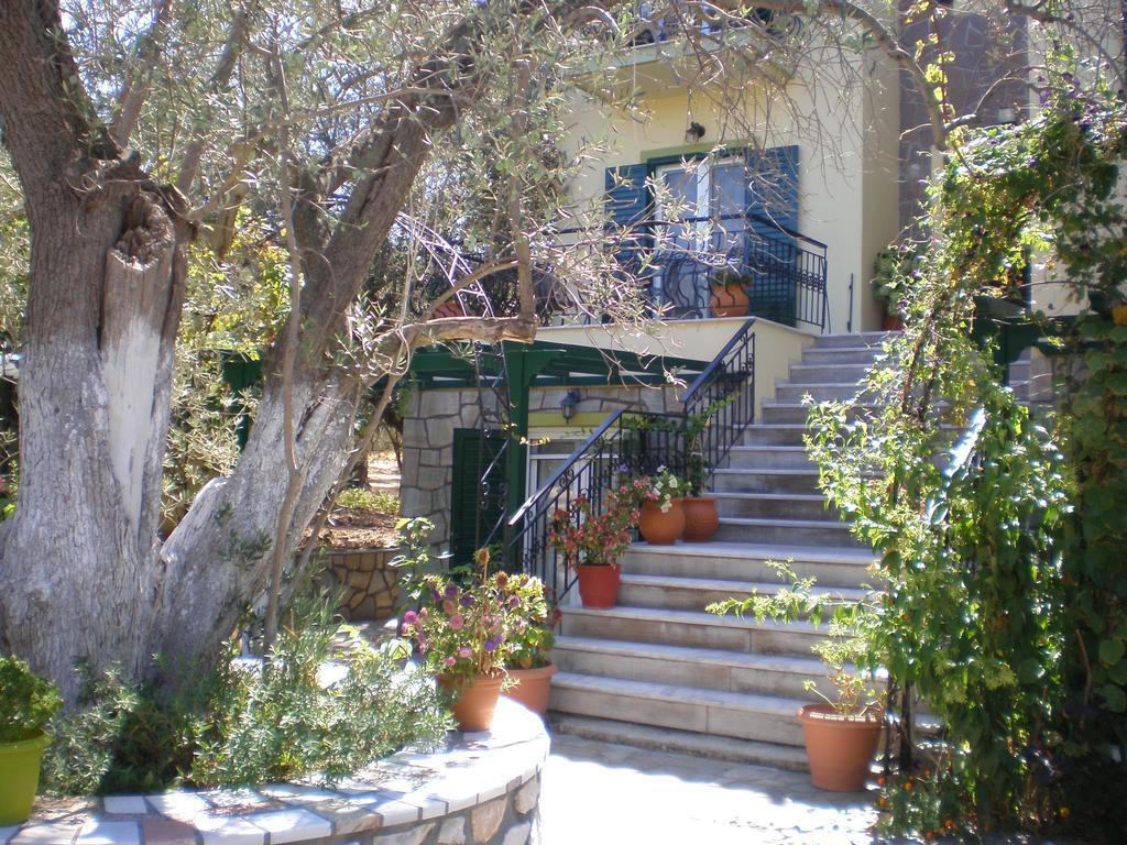 פטרה Vasiliki Studios מראה חיצוני תמונה