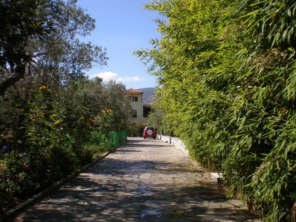 פטרה Vasiliki Studios מראה חיצוני תמונה