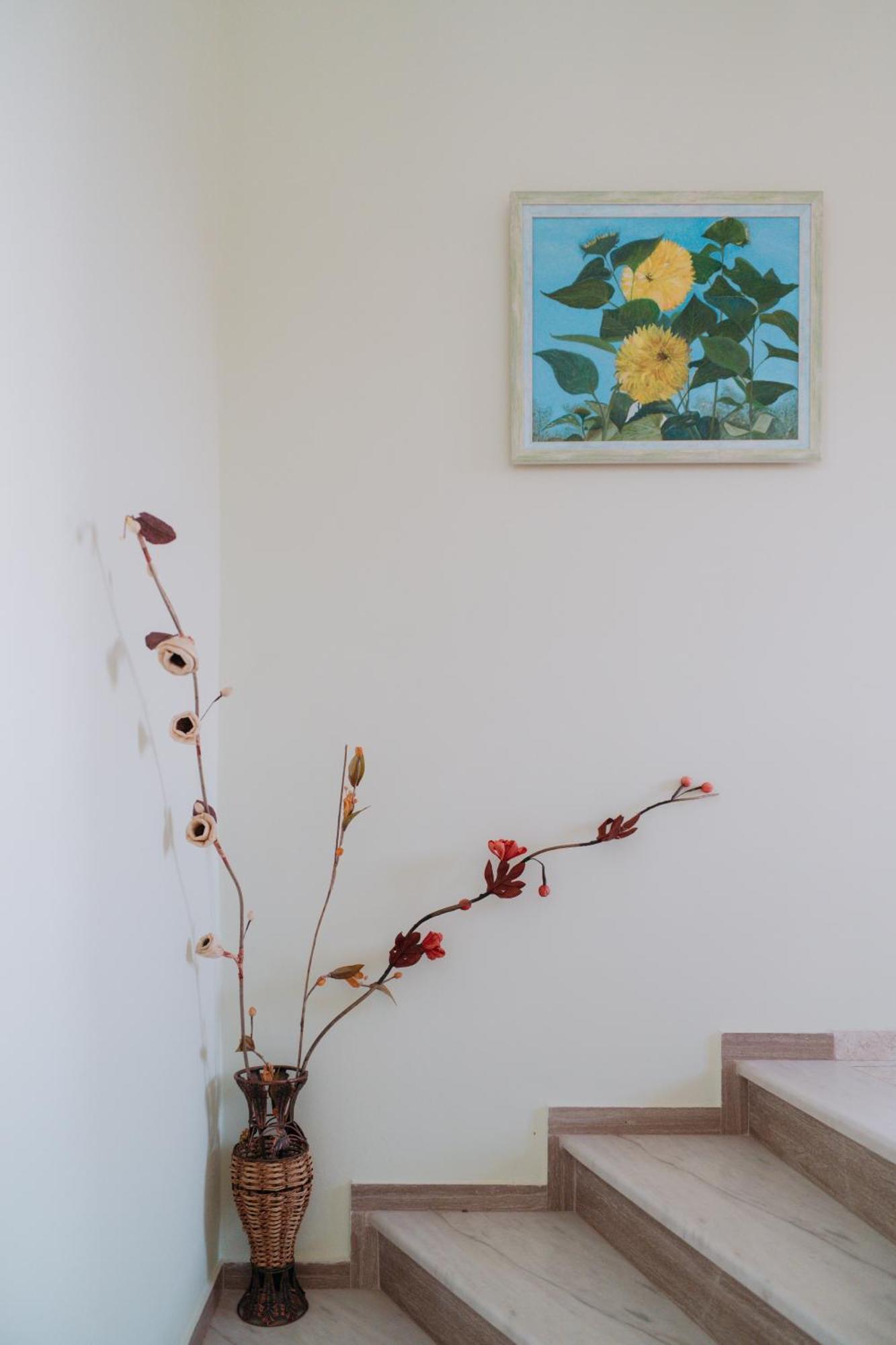פטרה Vasiliki Studios מראה חיצוני תמונה