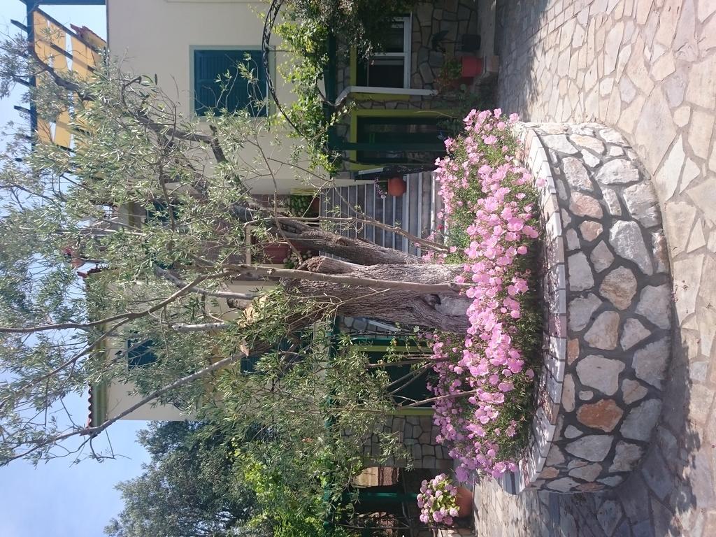 פטרה Vasiliki Studios מראה חיצוני תמונה