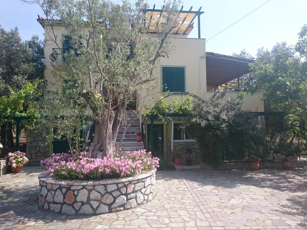 פטרה Vasiliki Studios מראה חיצוני תמונה