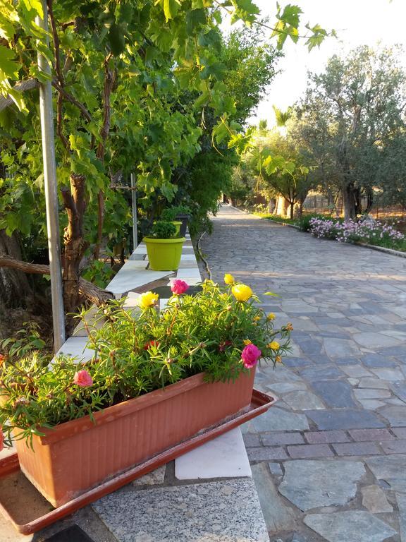 פטרה Vasiliki Studios מראה חיצוני תמונה